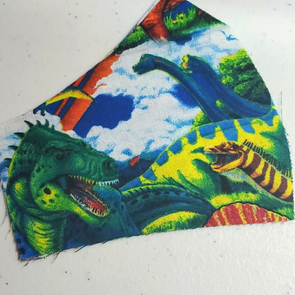 Kids Dinosaur Print Face Mask